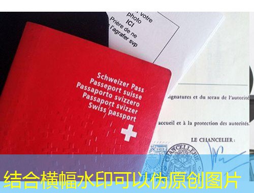 从长白山到莱茵河：吉林德国移民中介如何帮你一步到位